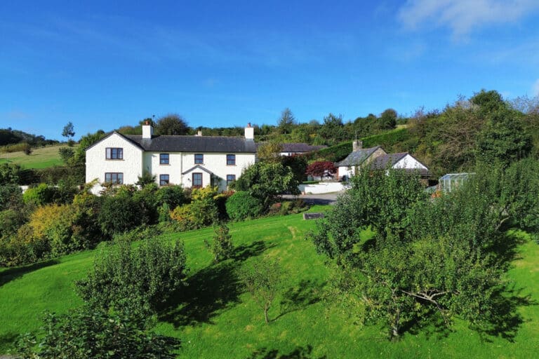 property 6