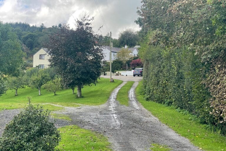 property 21