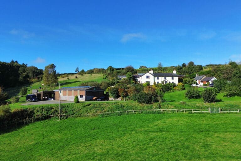 property 26