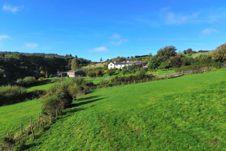 property 28