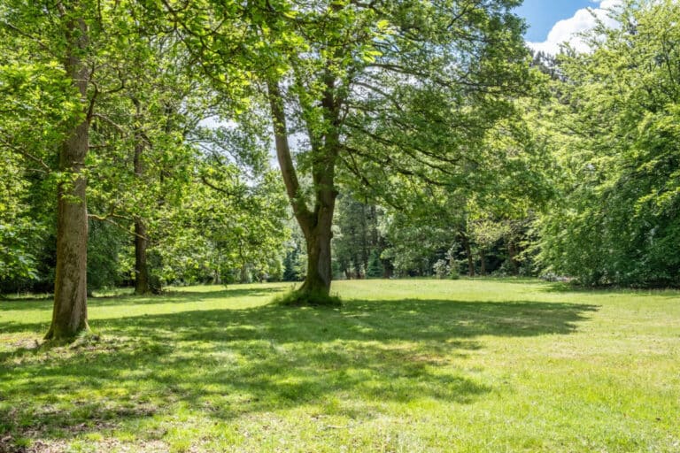 property 27