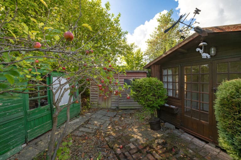 property 24