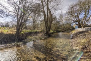 image 14