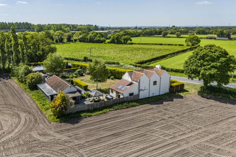 property 19