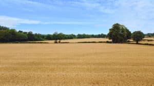 image 29
