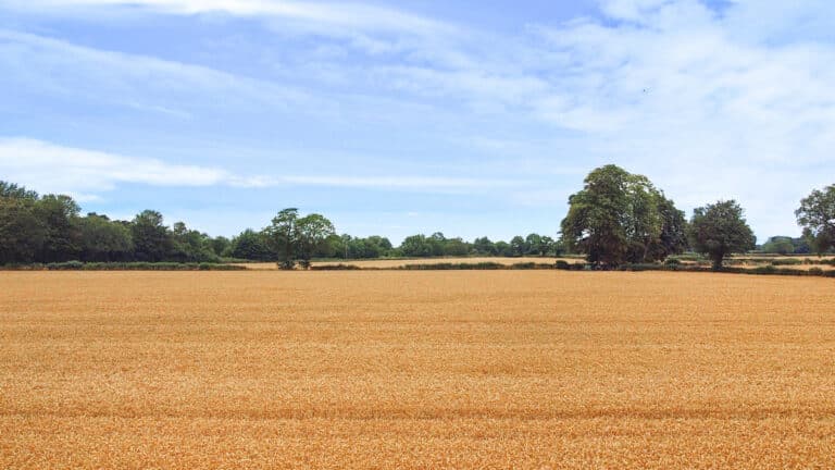 property 35