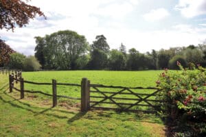 image 31