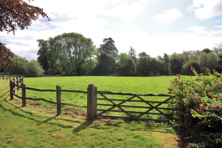 property 32