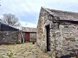 image 14