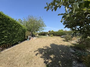image 25