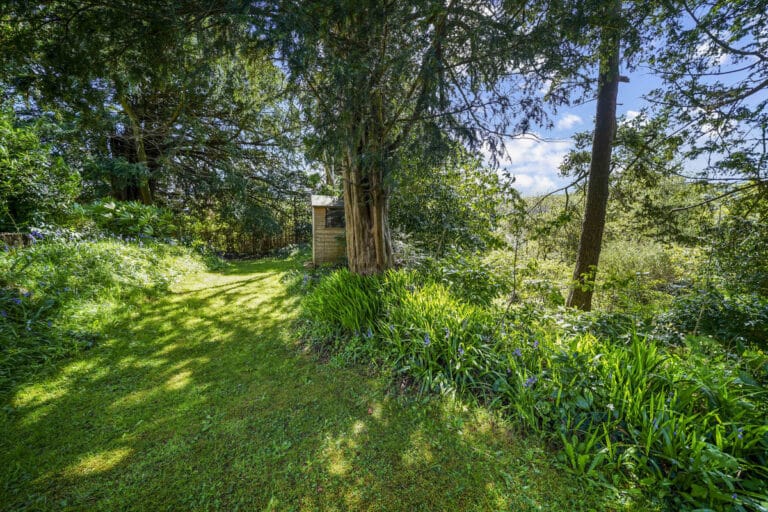 property 26