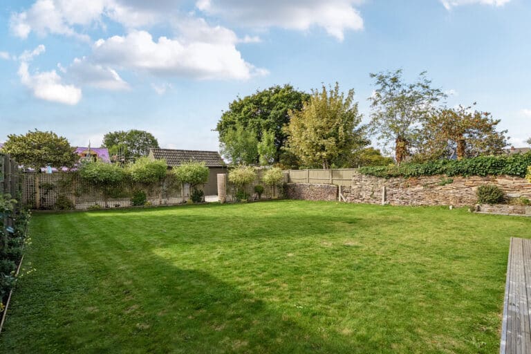 property 19