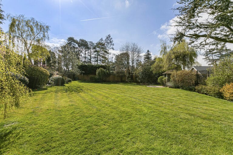 property 38