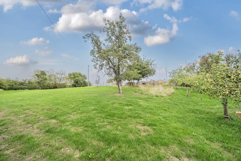 property 35