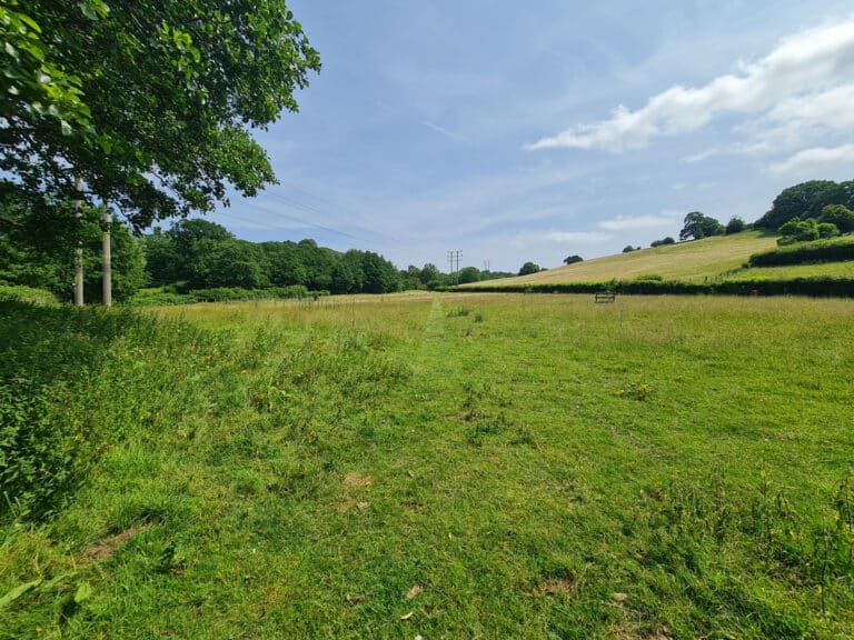 property 40