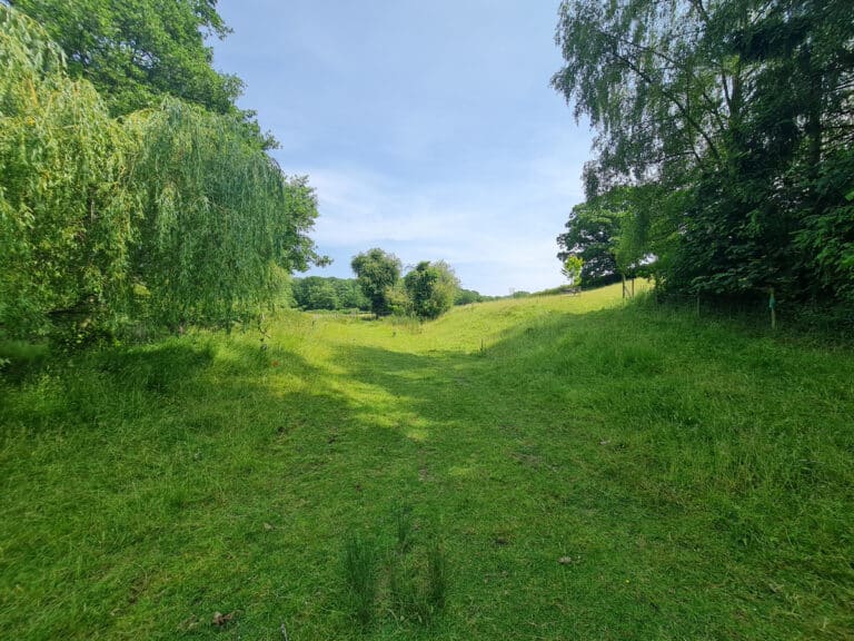 property 44