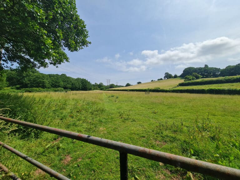 property 42