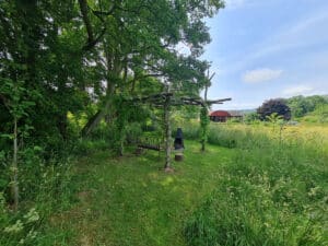 image 44