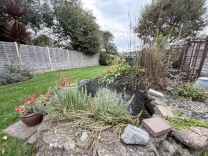 image 17