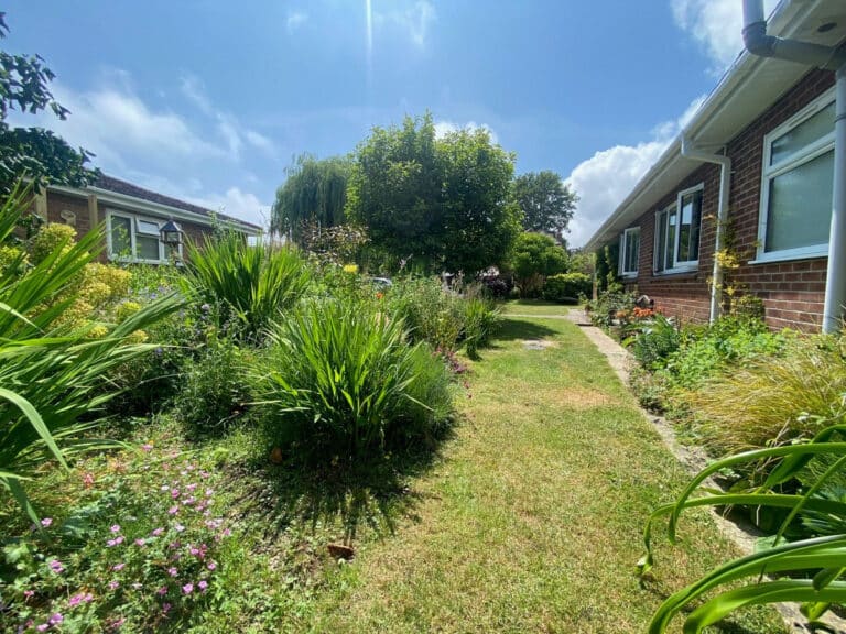 property 19