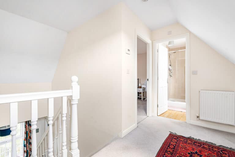 property 19