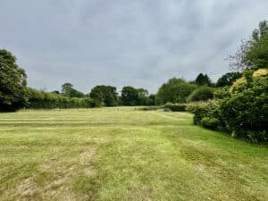 image 29