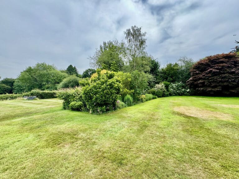 property 31