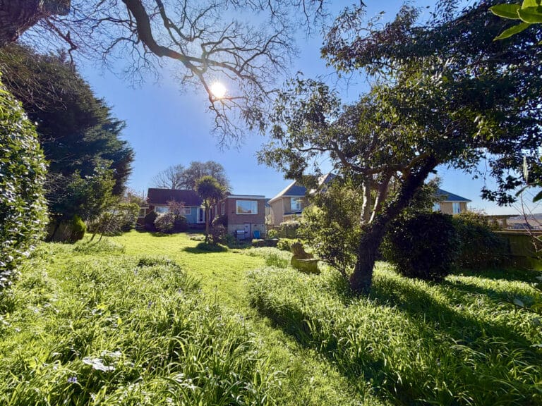 property 21