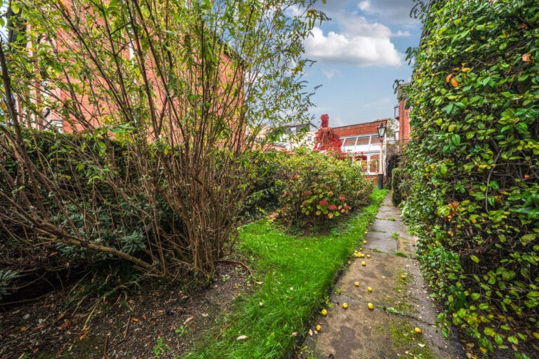 property 24