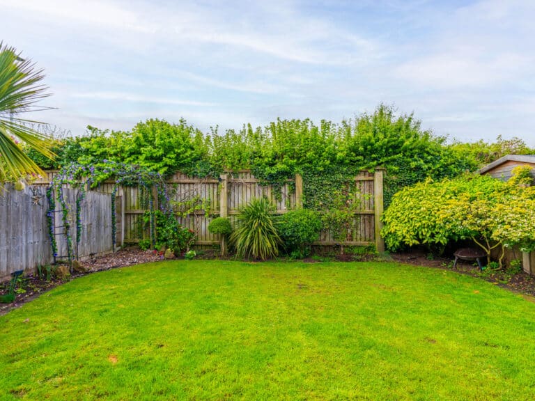property 20