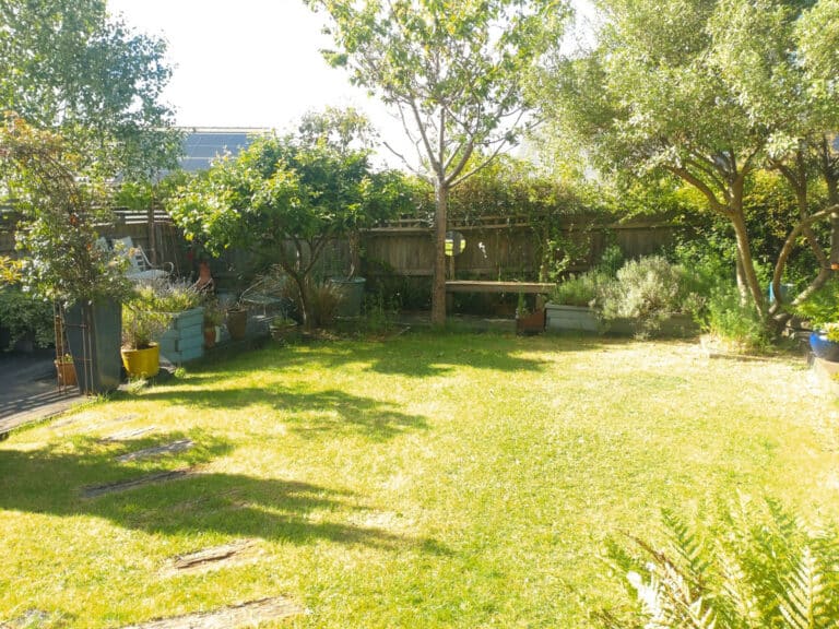 property 25