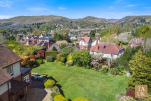 image 23