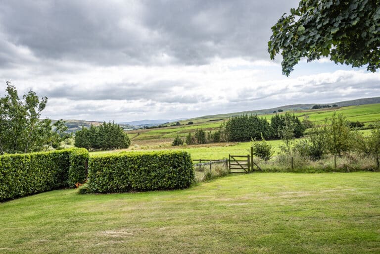 property 20