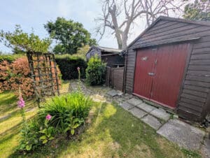 image 21