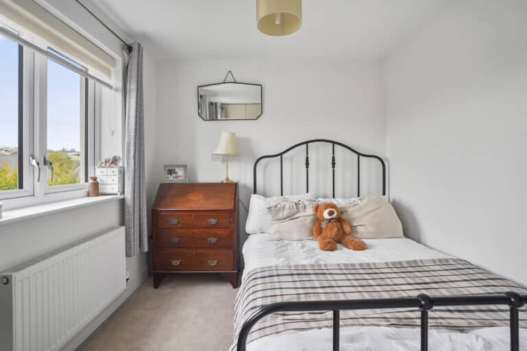property 19