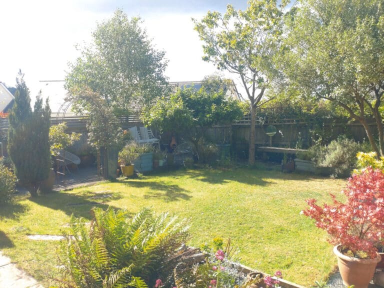 property 23