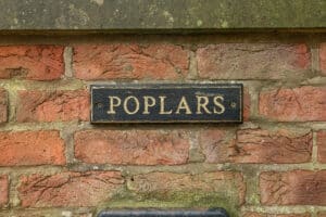 image 39
