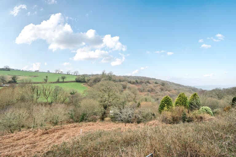 property 24
