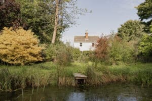image 22