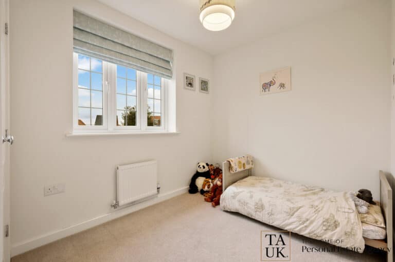 property 19