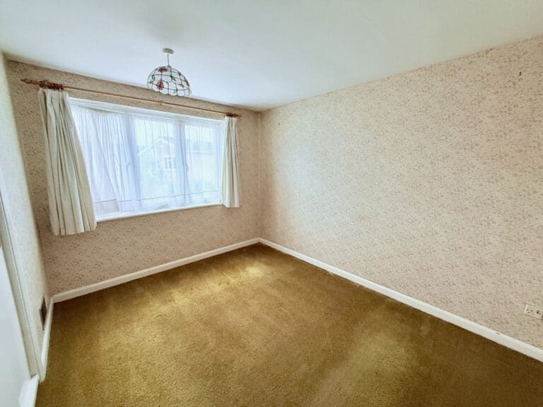 property 19
