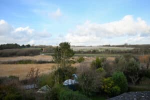 image 25