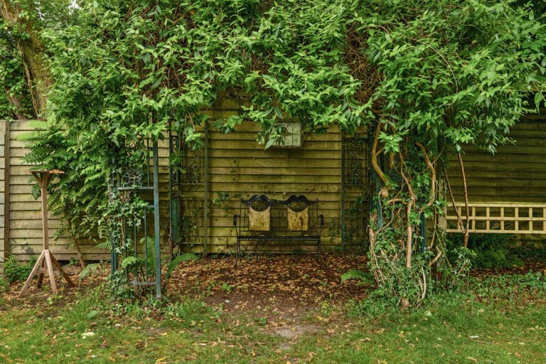 property 37