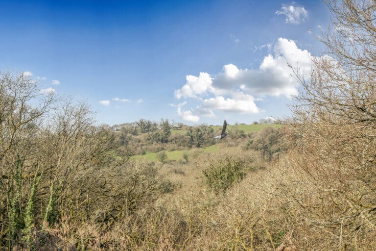 property 5