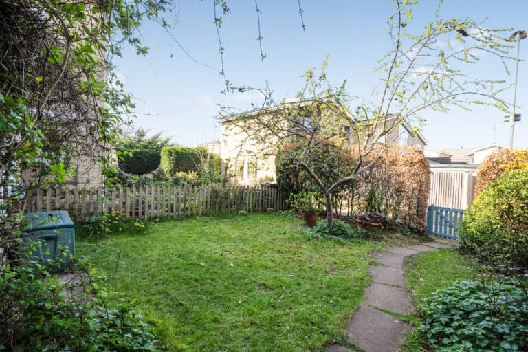 property 19