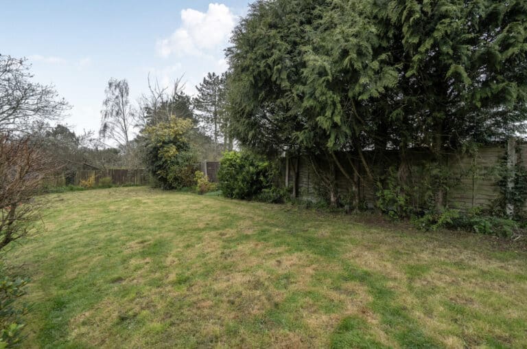 property 19