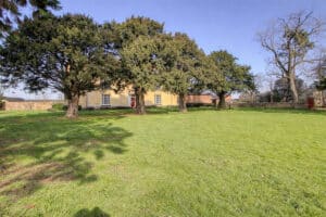 image 25