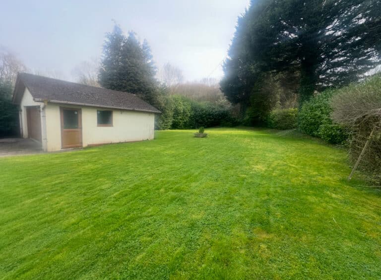 property 36