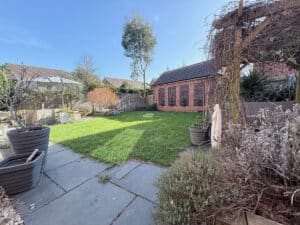 image 31