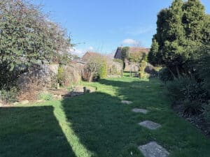 image 17